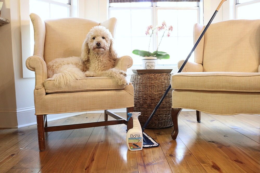 Keeping the pine wood floors clean