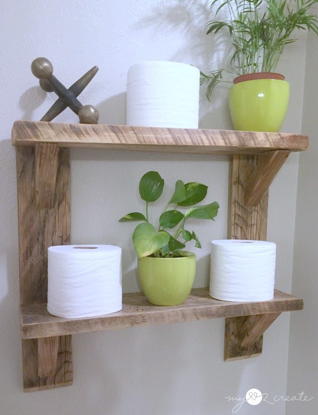 green plants on shelves