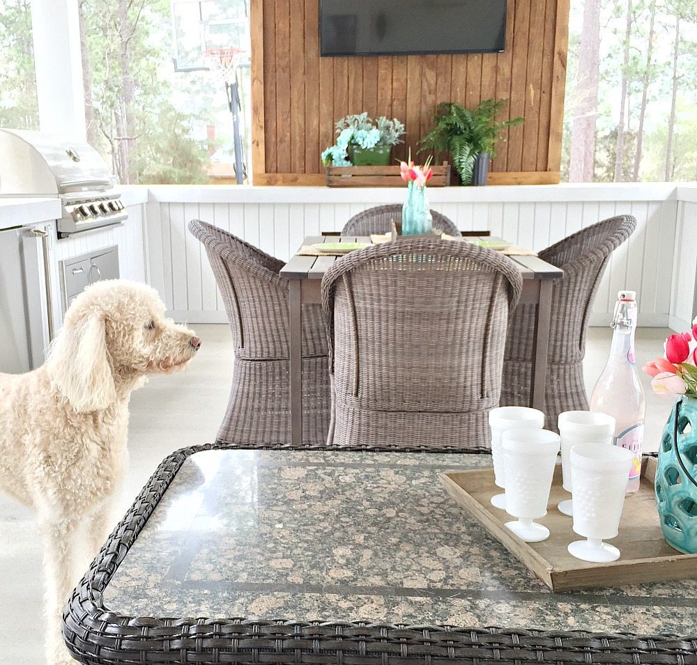 Labradoodle Murphy enjoying the farmhouse porch at springtime