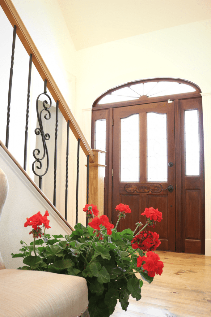 Red geraniums for spring at Refresh Restyle