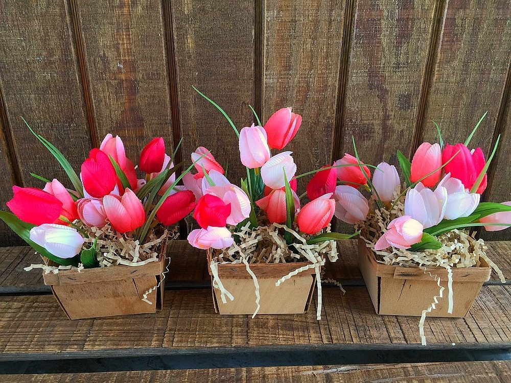 Three berry baskets filled with spring tulips