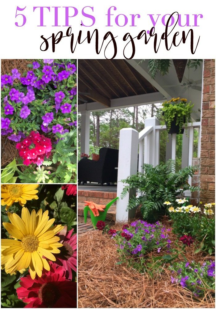 5 tips for your spring garden to add color in every corner