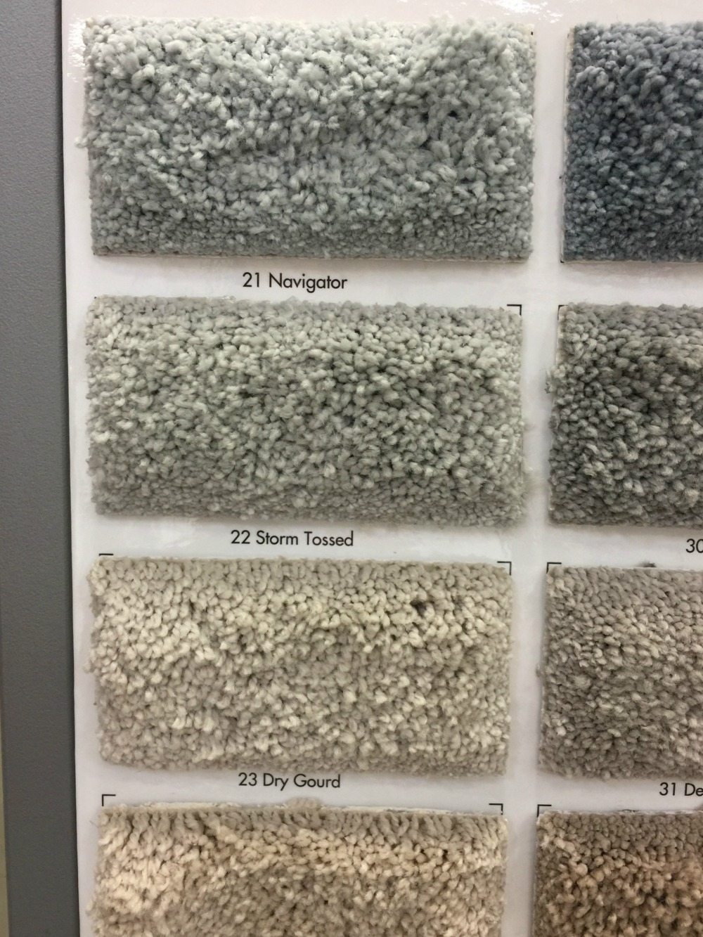 Color Storm Tossed Pet proof Carpet