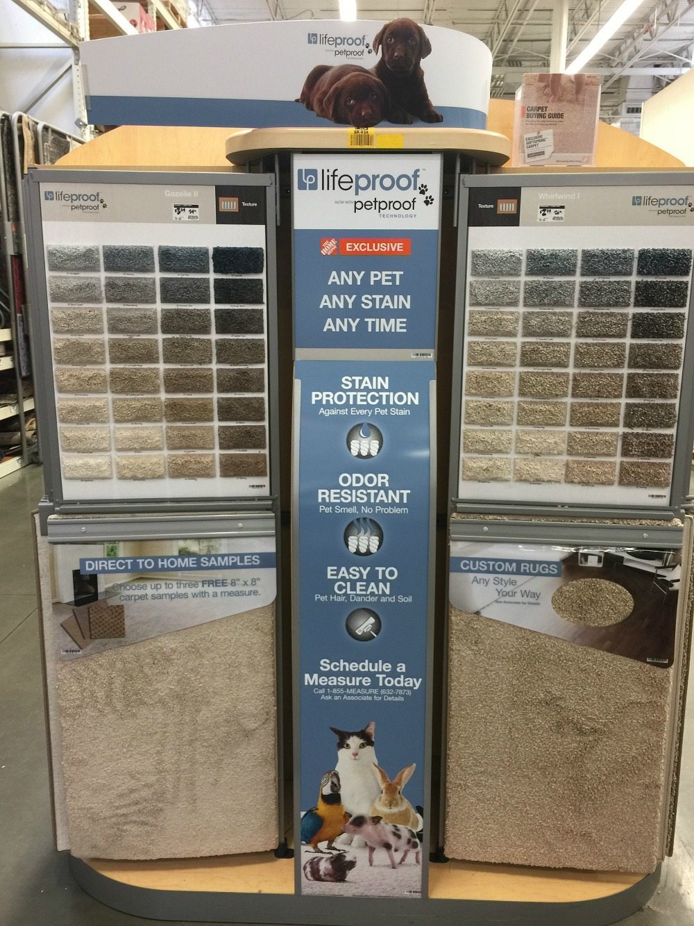 Pet Friendly Carpet Makes Life Easier Refresh Restyle