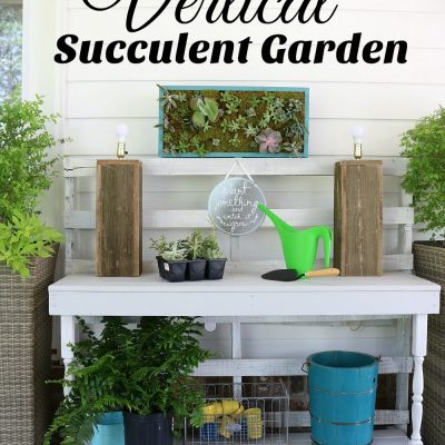 Make this vertical succulent garden