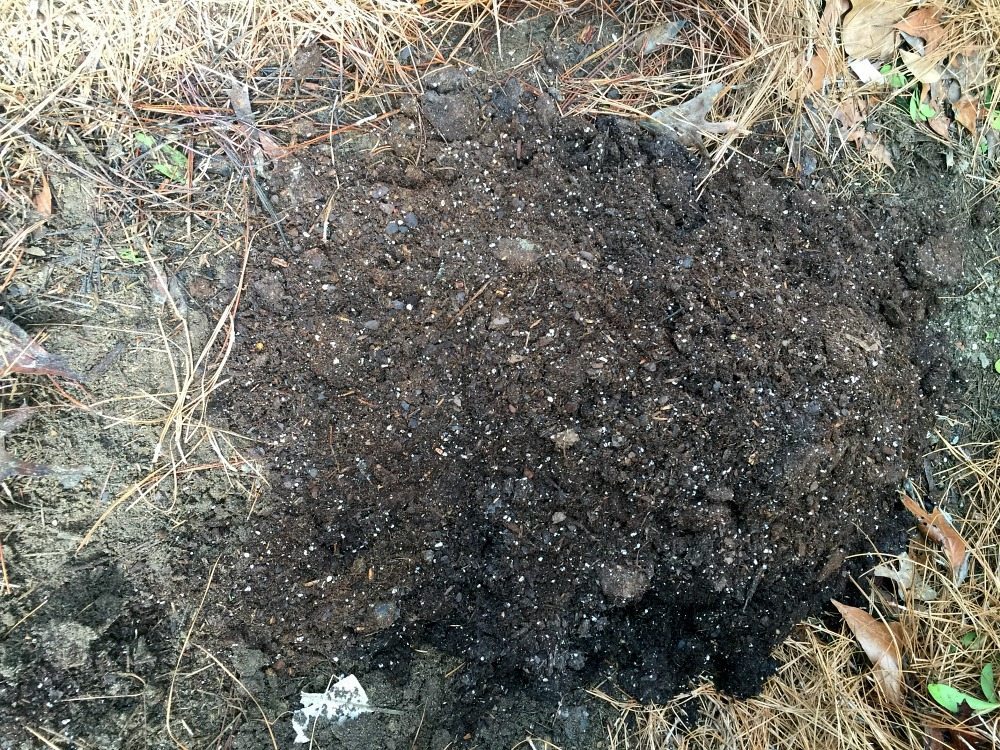 Prep soil before planting