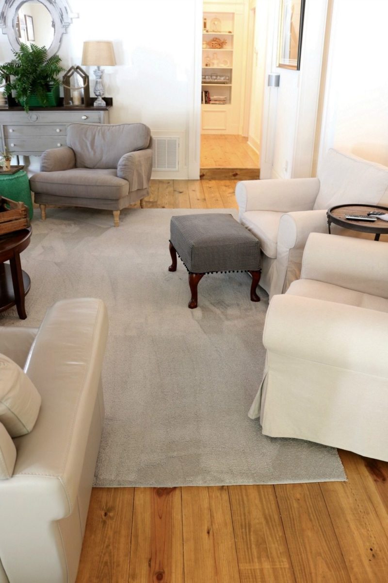 Pet Friendly Carpet Makes Life Easier Refresh Restyle