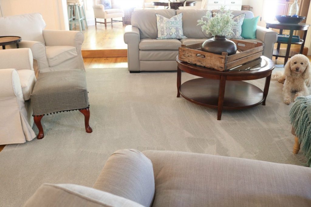 Pet Friendly Carpet Makes Life Easier Refresh Restyle