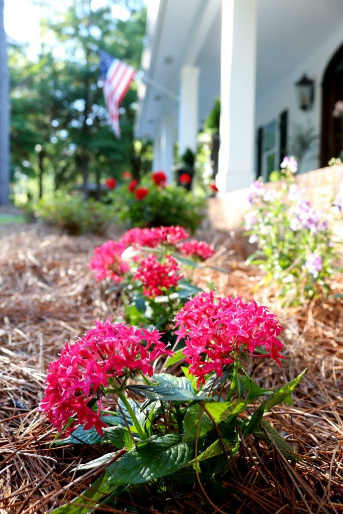 Freshen up the garden with Monrovia plants from Lowe's