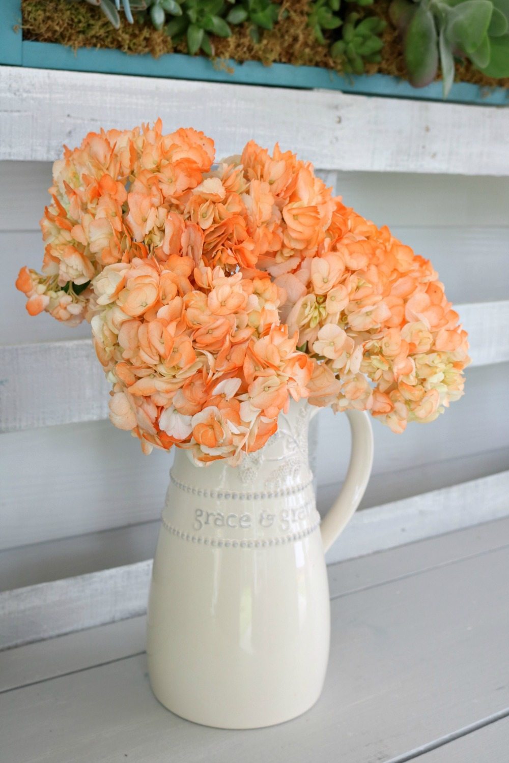 I've never seen Orange hydrangeas