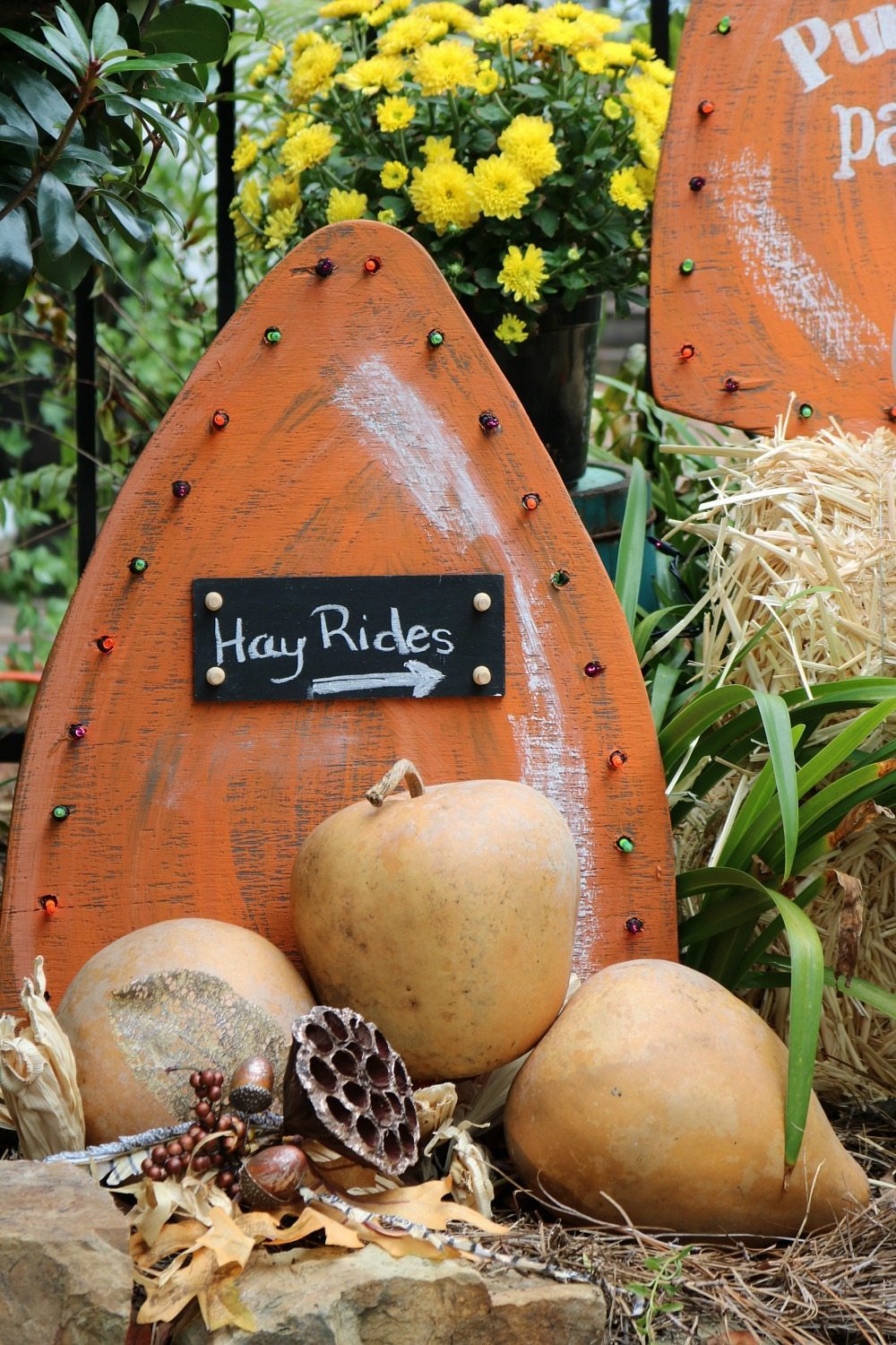 Great idea for fall make these harvest yard signs