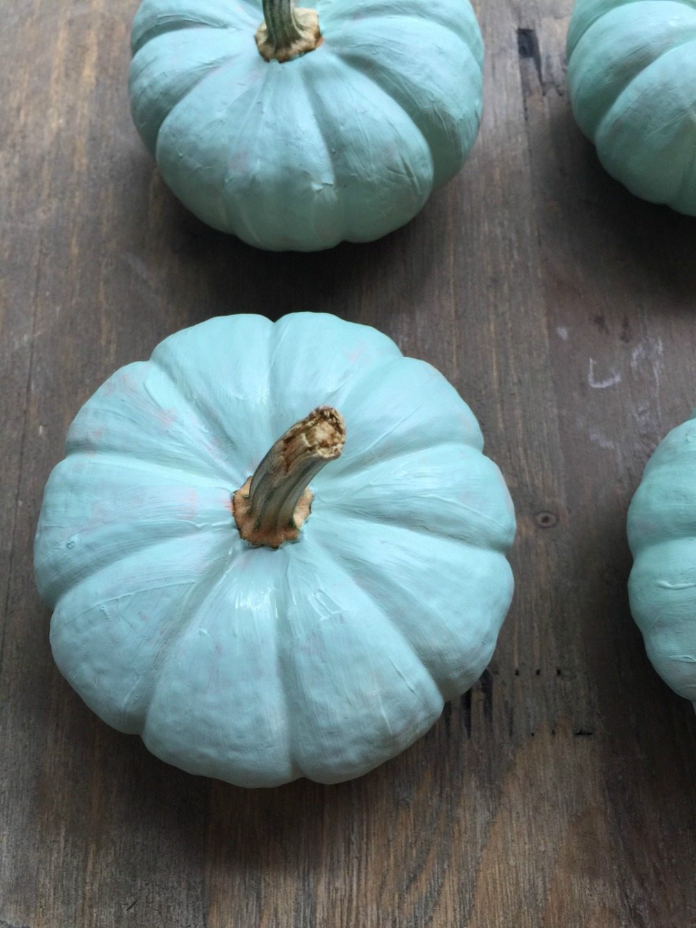 How To Paint Real Pumpkins Refresh Restyle