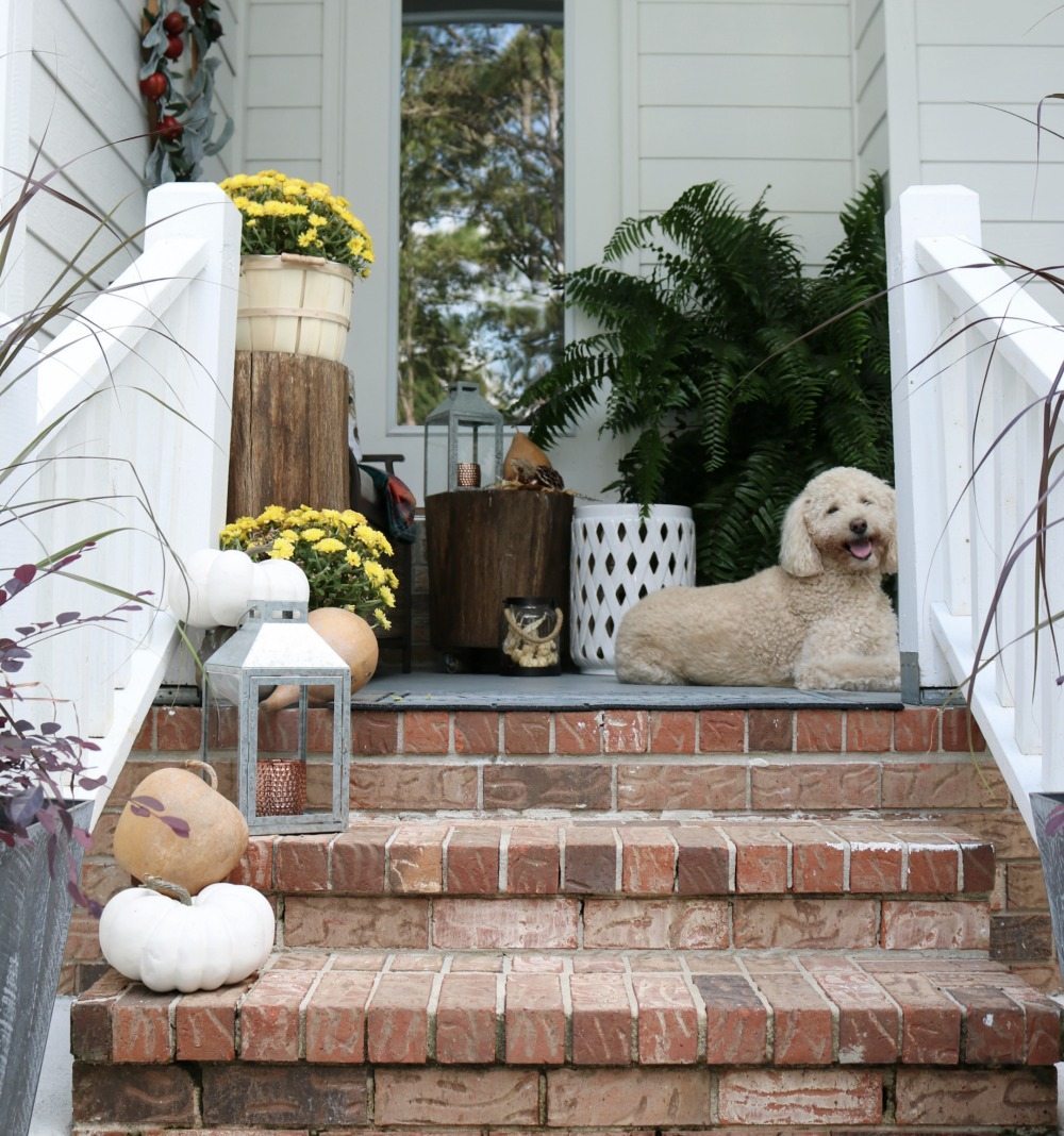 Pumpkin and lantern on the steps for fall