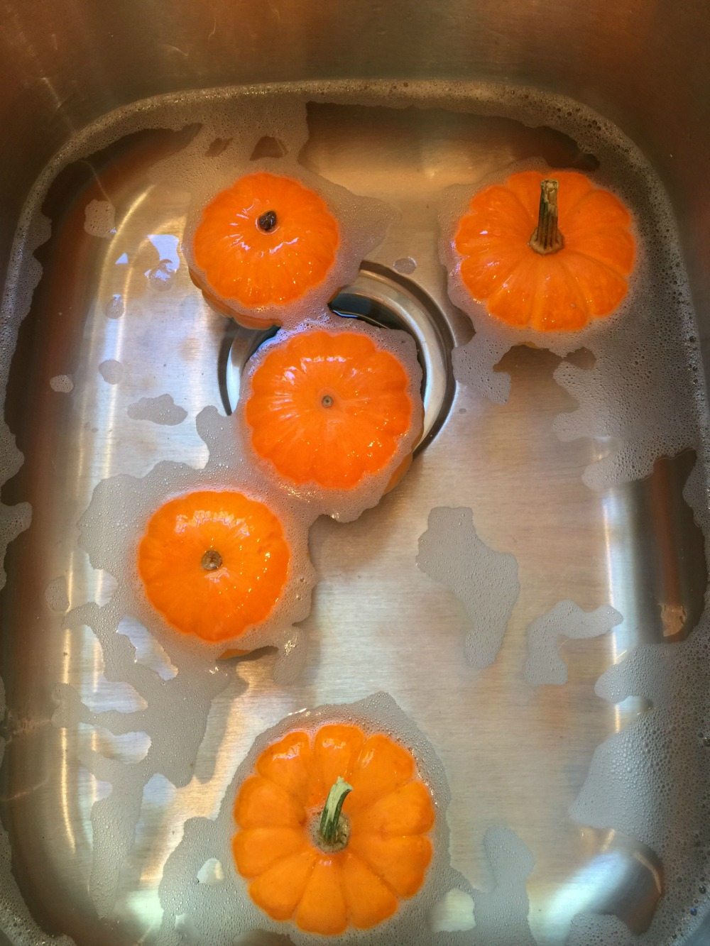 How To Paint Real Pumpkins Refresh Restyle