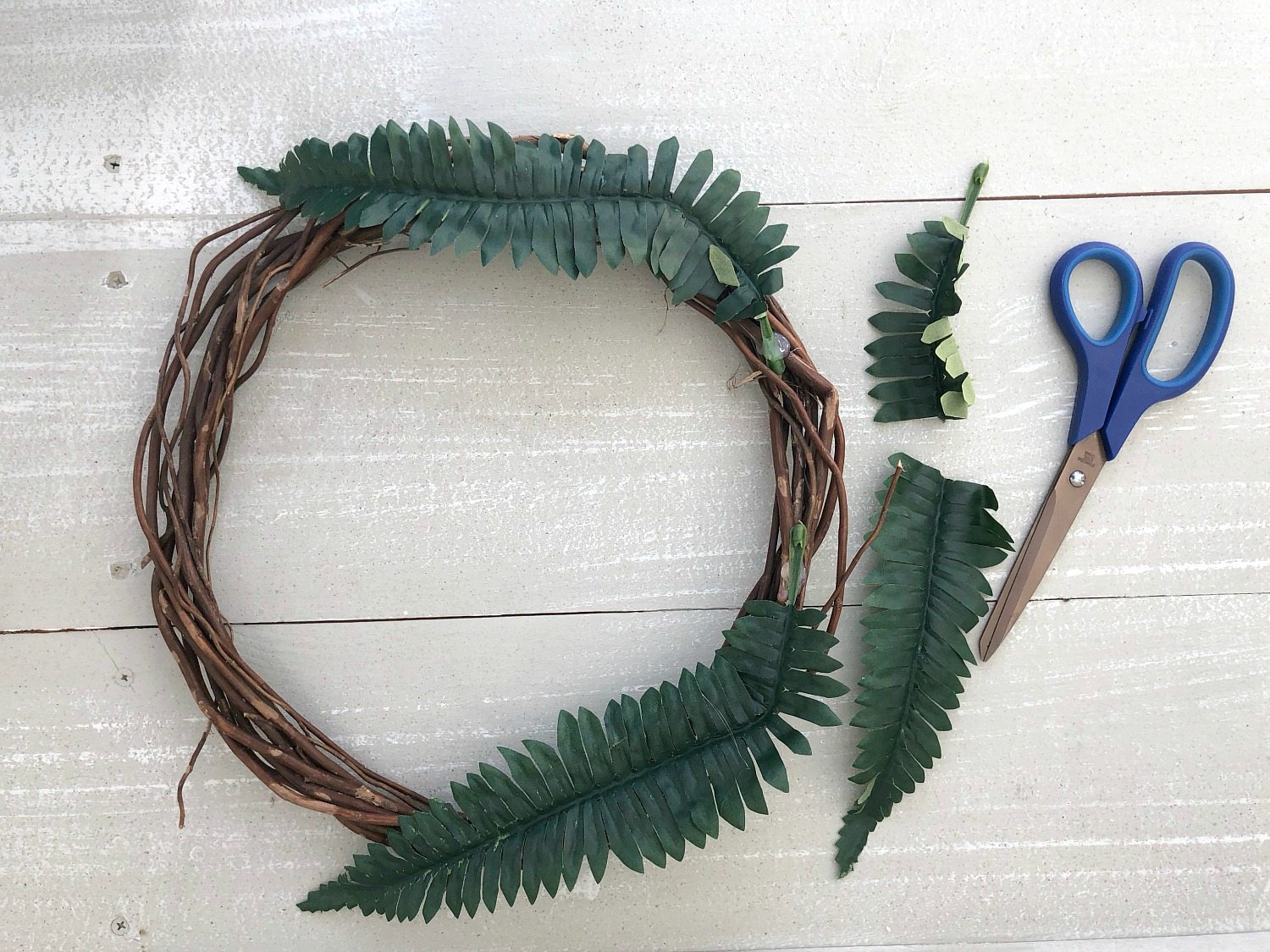 Glue and trim fern fronds