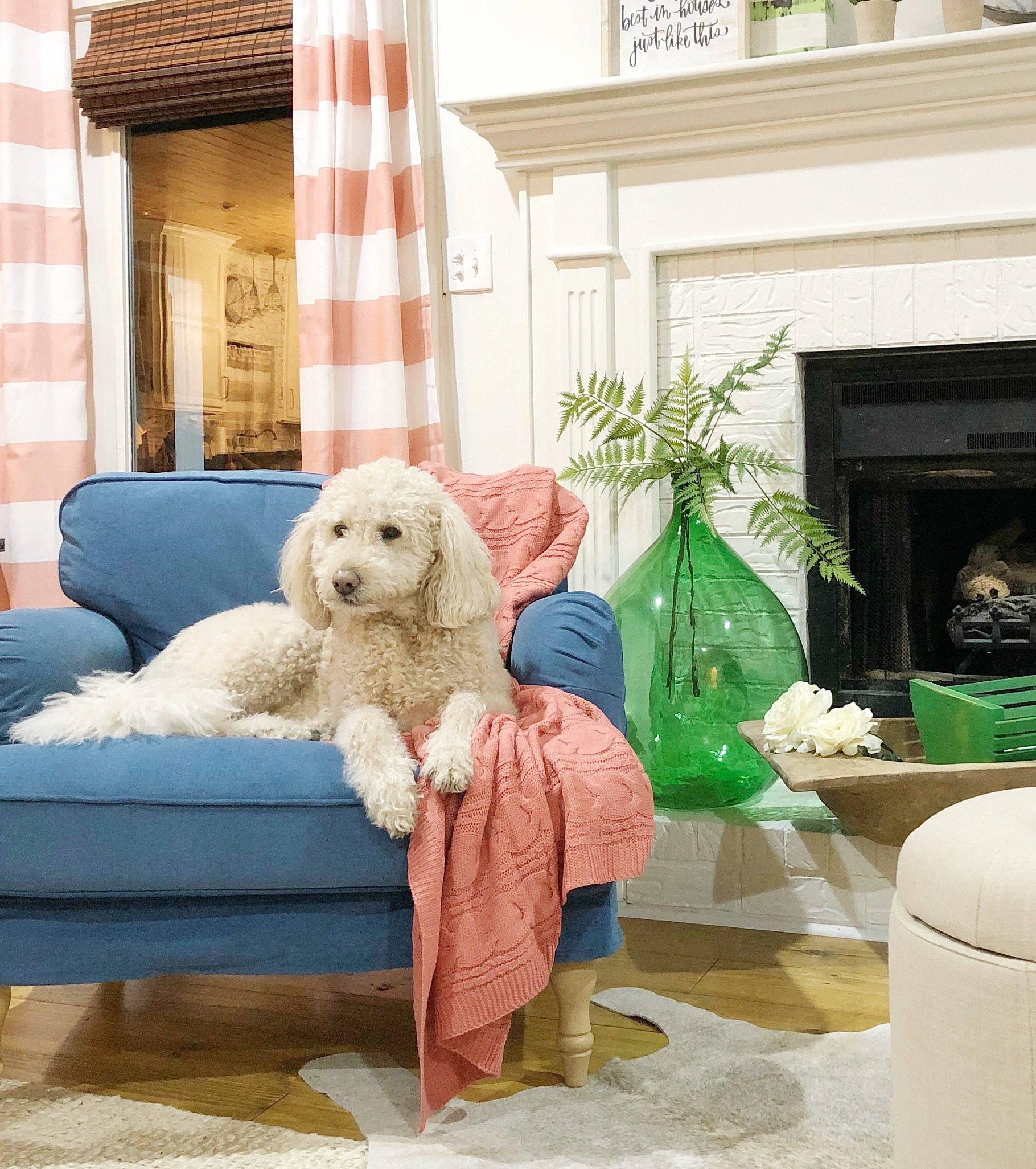 Murphy approved colorful changes in a living room.