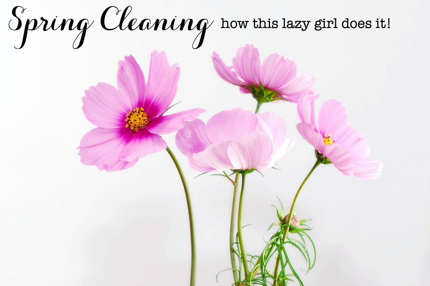Lazy Girl's Guide to Spring Cleaning