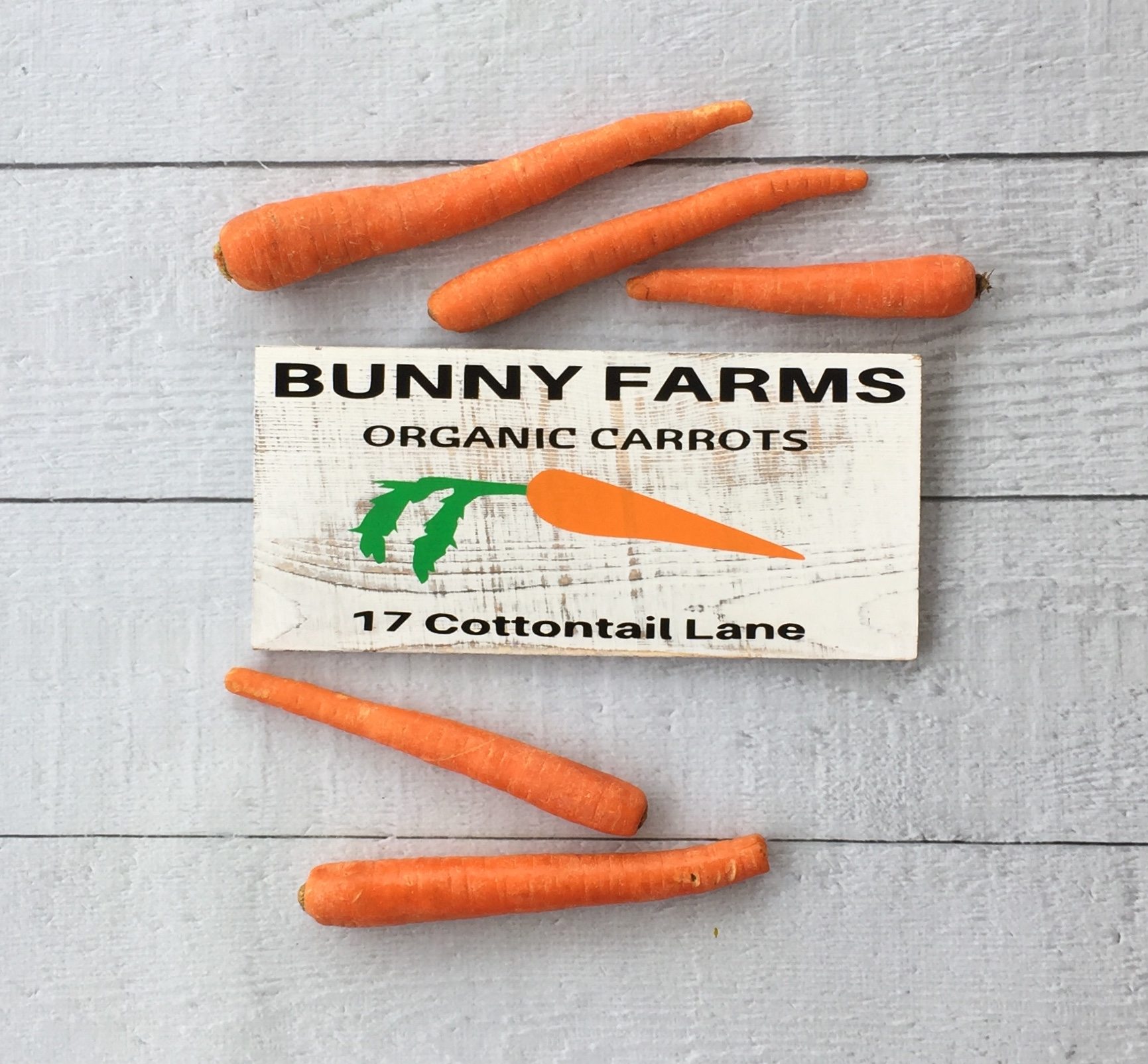 Carrots and bunny sign