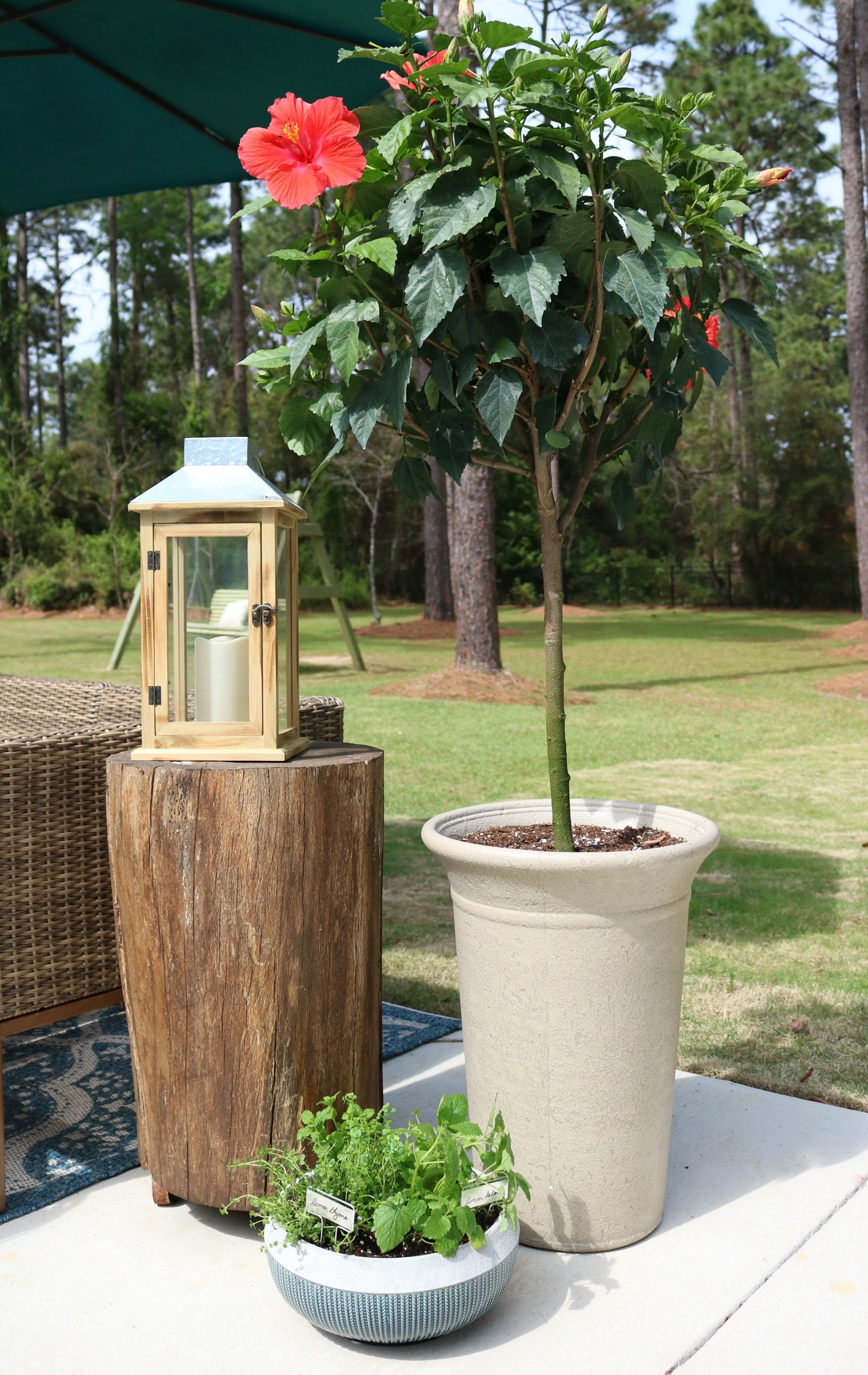 Planters for the patio