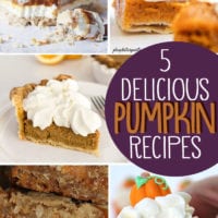 5 pumpkin recipes