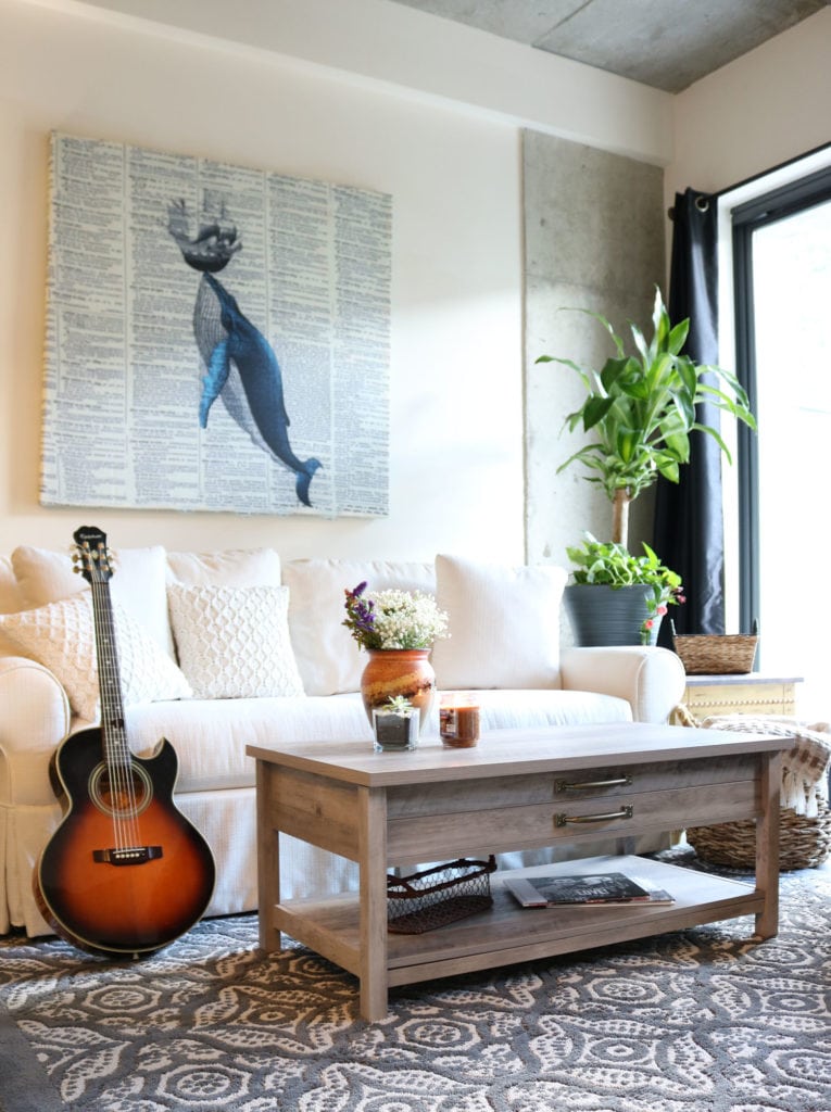 Apartment Decor Ideas on a Budget