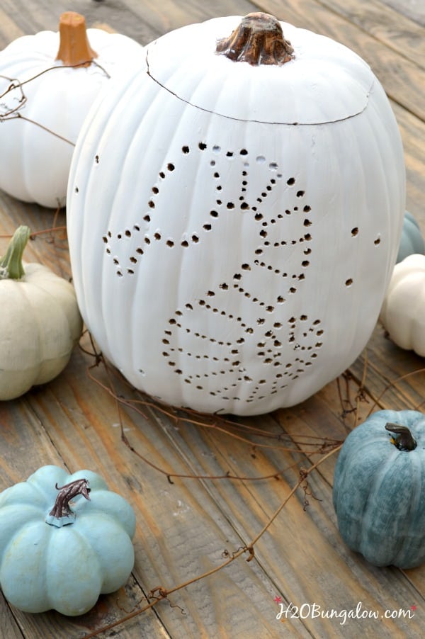 seahorse-drilled-coastal-pumpkin-H2OBungalow