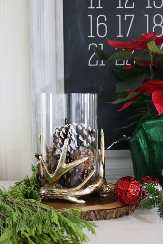 Antler and Pinecones - Christmas Gift Ideas Under $25