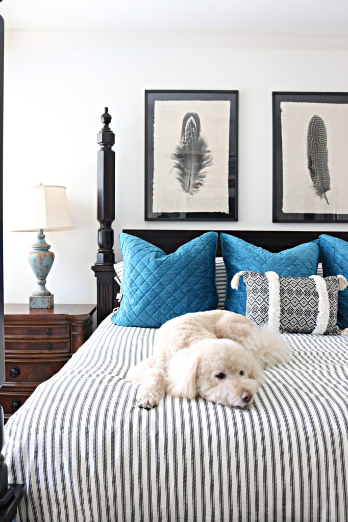 Murphy on the new bedding - quick bedding refresh with ticking strip duvet and blue euro shams.