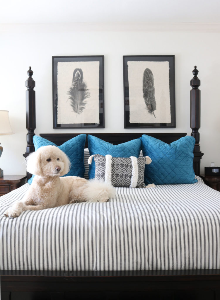 New bedding - striped duvet linen sheets and euro shams.