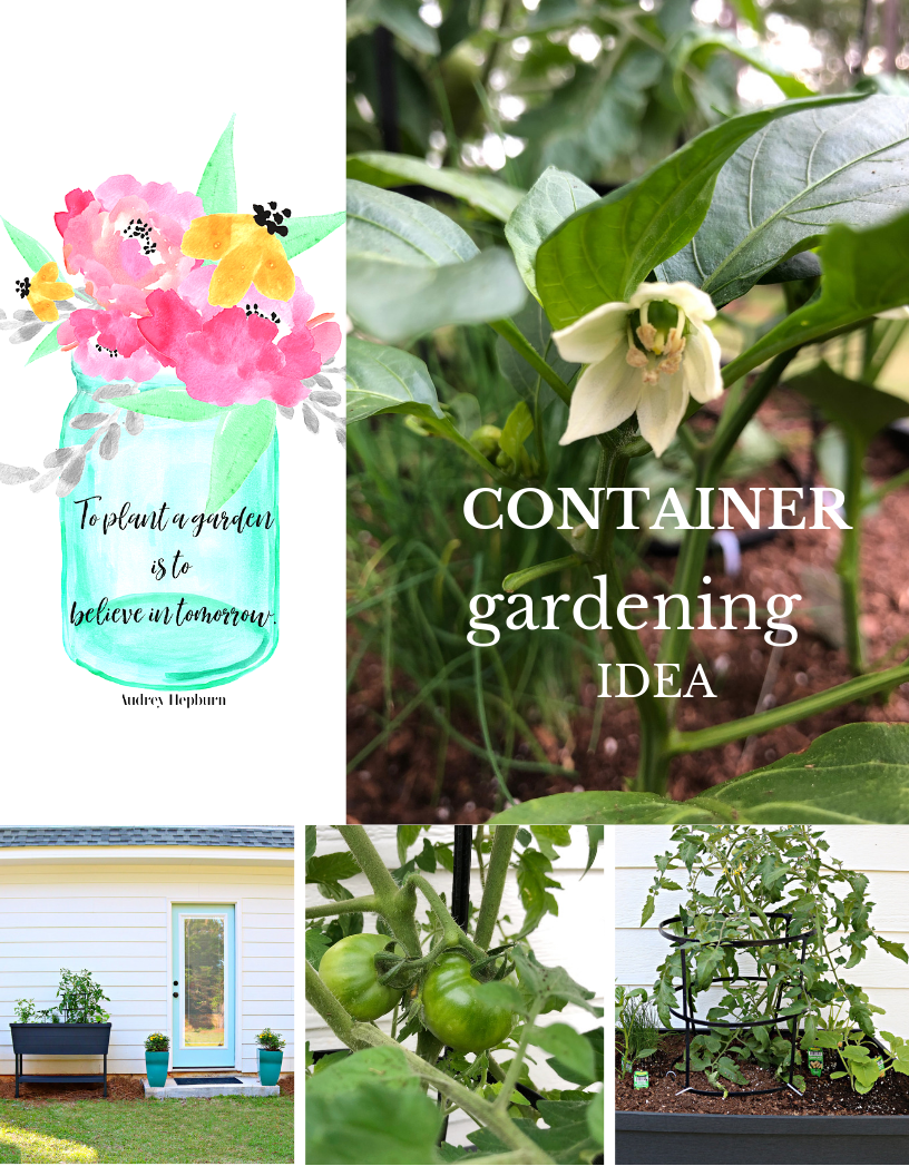 Container gardening is easy