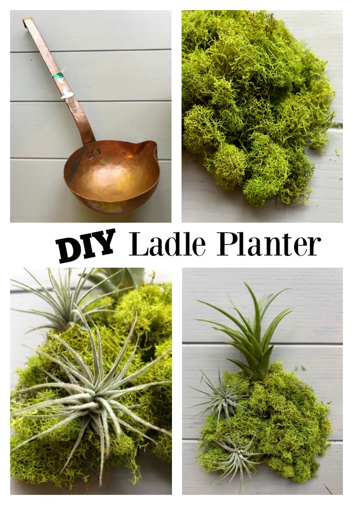 DIY Ladle Planter for Air Plants