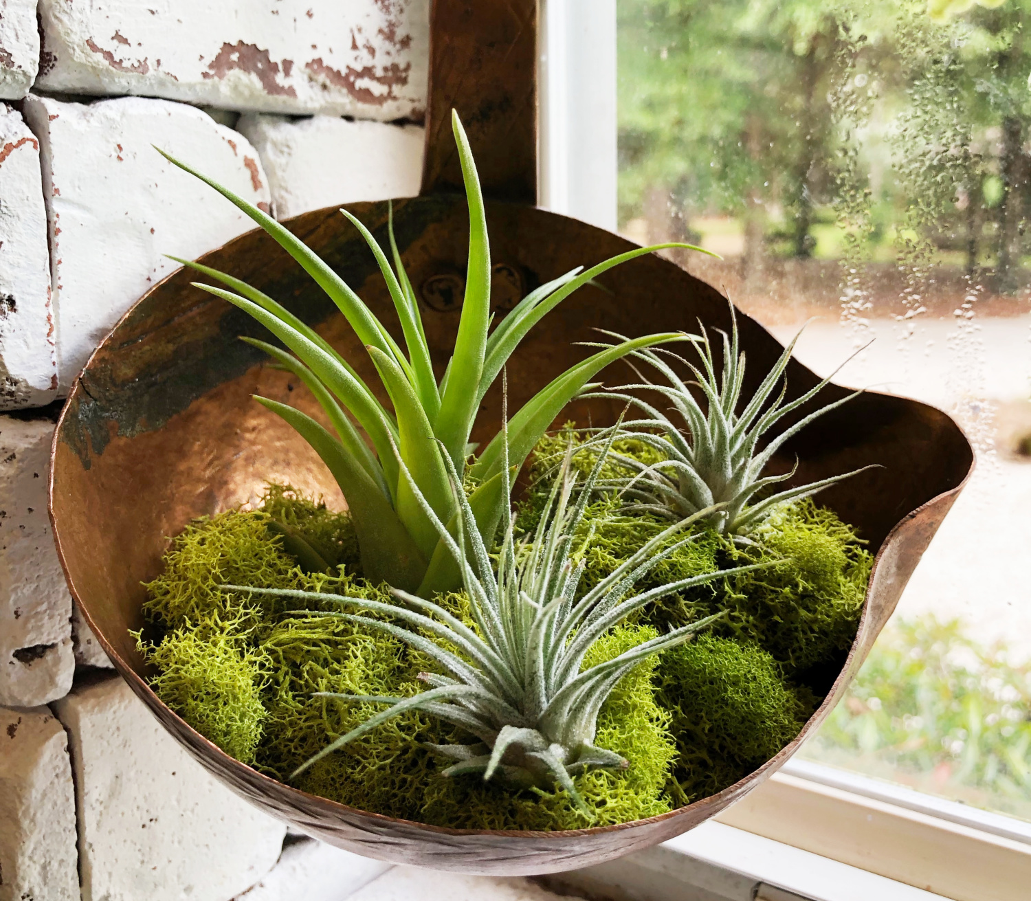 ladle brass planter