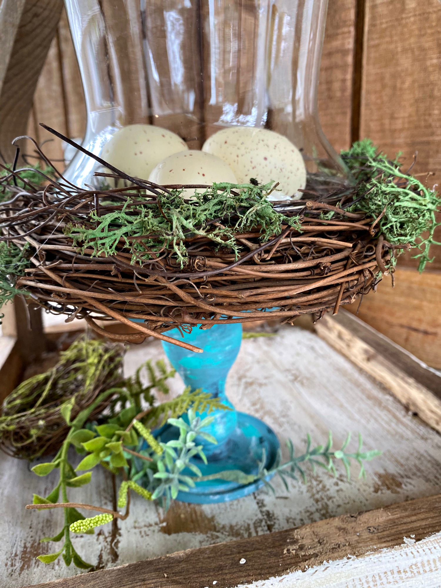 nest under cloche